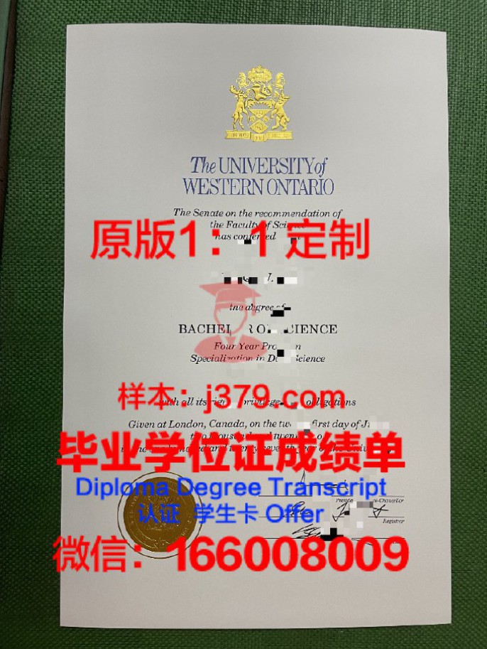 本科毕业学位考试:迈向更高学术殿堂的门槛