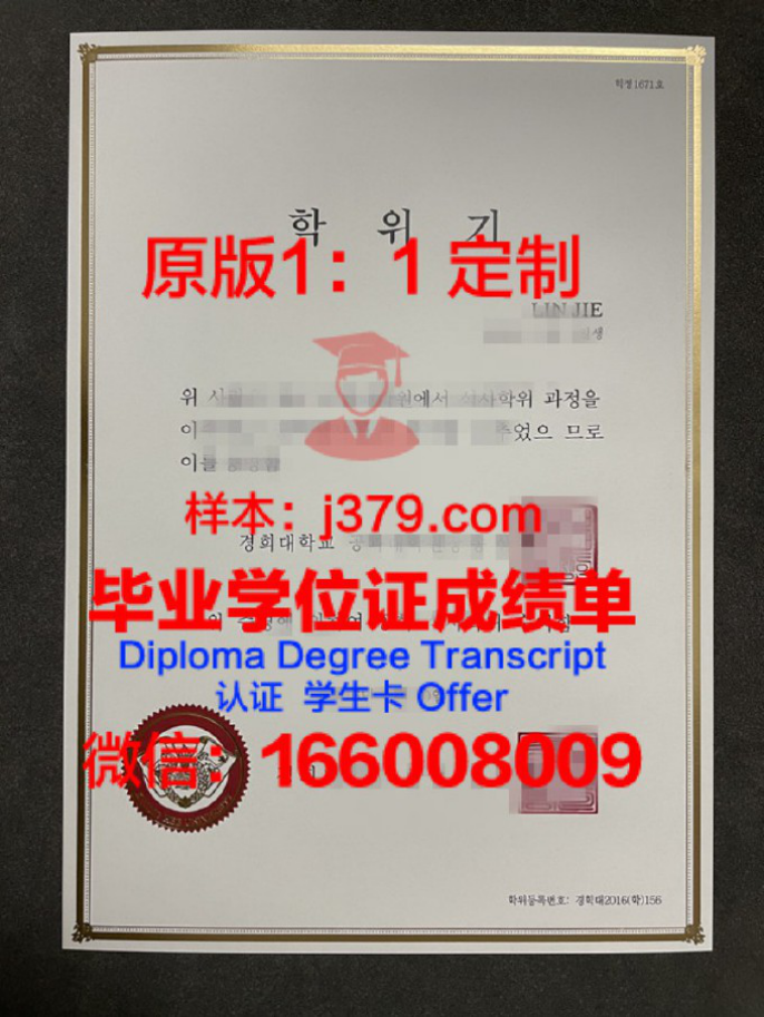 蒂拉登特斯大学硕士毕业证:一张通往未来的通行证