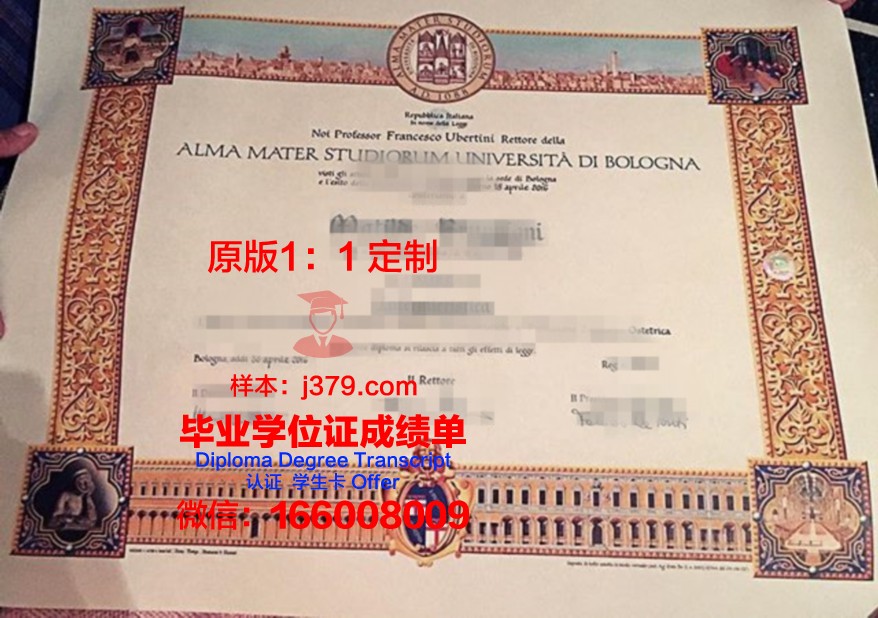 尼亚毕业证成绩单打印电子版全攻略