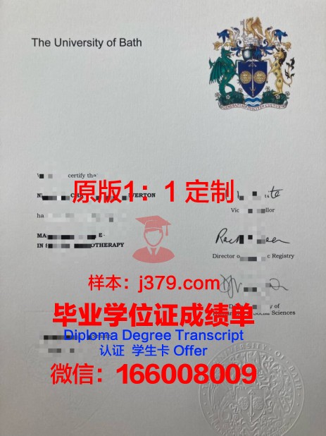 巴斯大学毕业学位