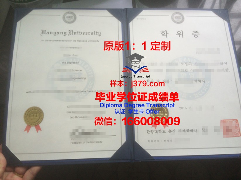巴查查兰大学学位证:一份跨越国度的荣誉与承诺