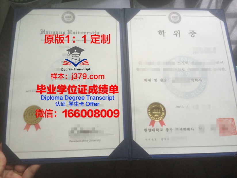 南里奥格兰德联邦大学博士学位证的荣耀与价值