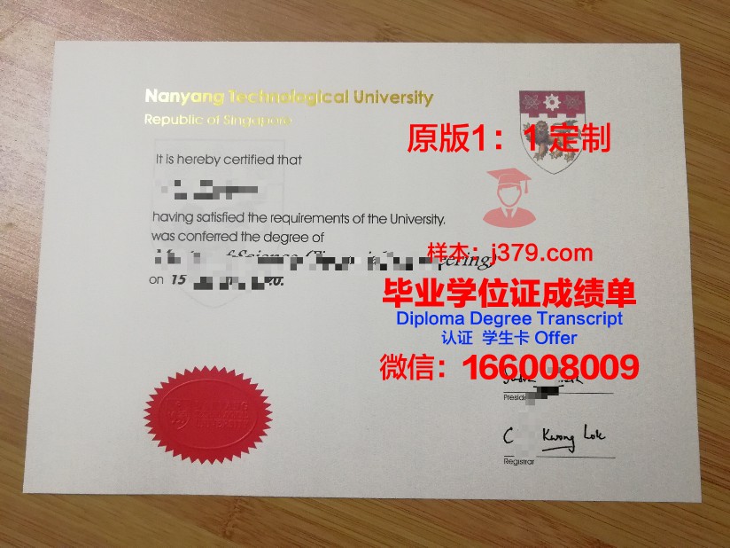 博士毕业本科毕业证丢了怎么补办
