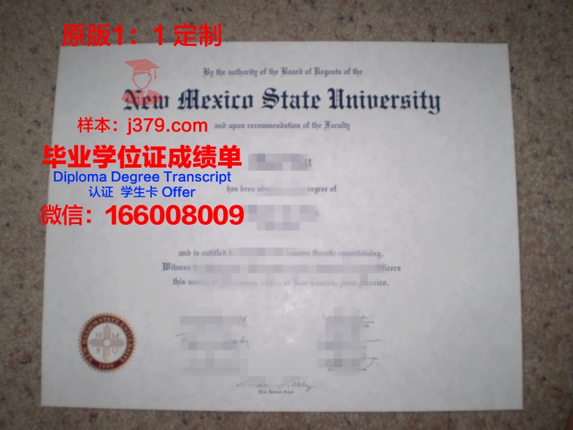 南院硕士毕业证书图片大全:承载智慧与荣耀的瞬间