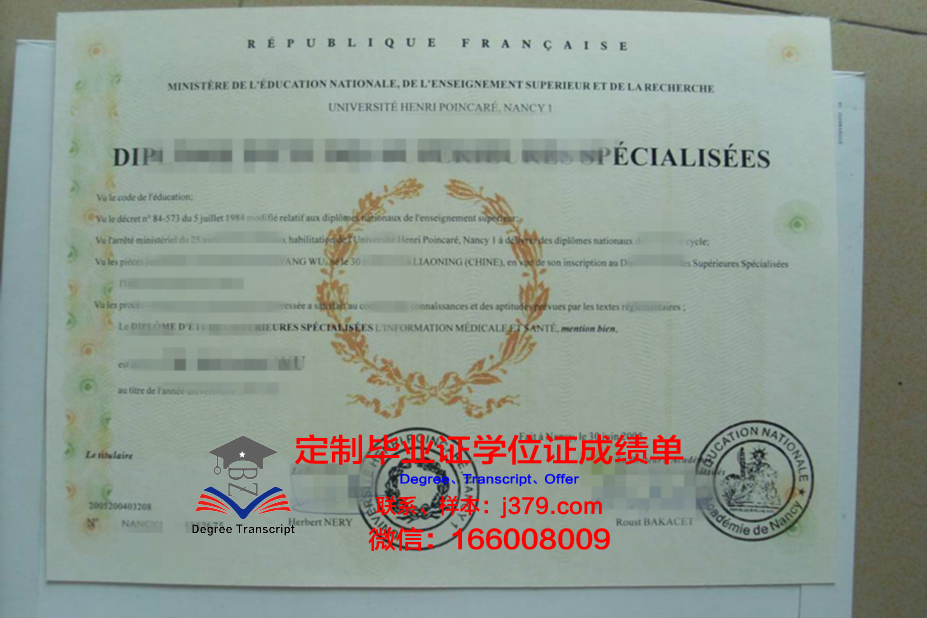 南锡国立高等矿业学院硕士毕业证书样本