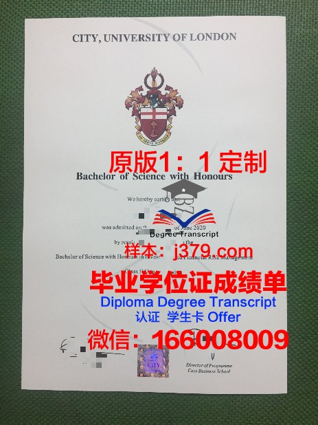 博士毕业本科毕业证丢了怎么补办