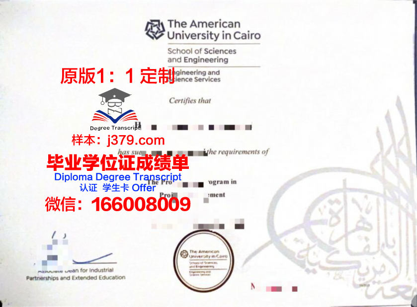 开罗大学校园卡(开罗大学是名牌大学吗)