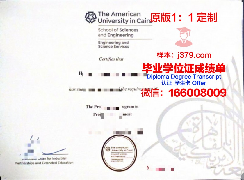 开罗大学校园卡(开罗大学是名牌大学吗)