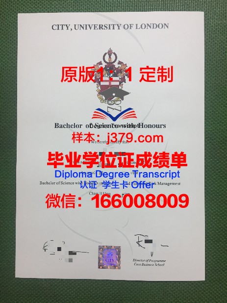 康斯坦茨大学毕业证补办