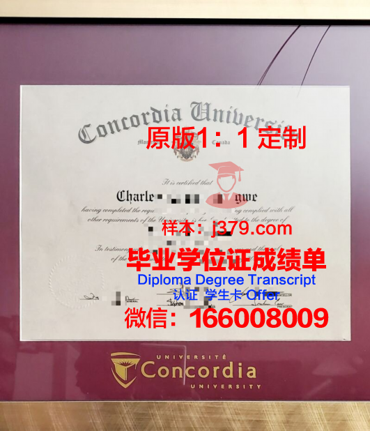 康考迪亚学院(明尼苏达州)毕业证学位证(康考迪亚大学录取条件)
