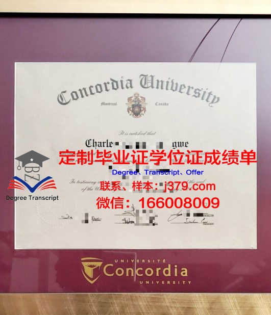 康考迪亚大学圣保罗分校成绩单:国际认可的学术成果