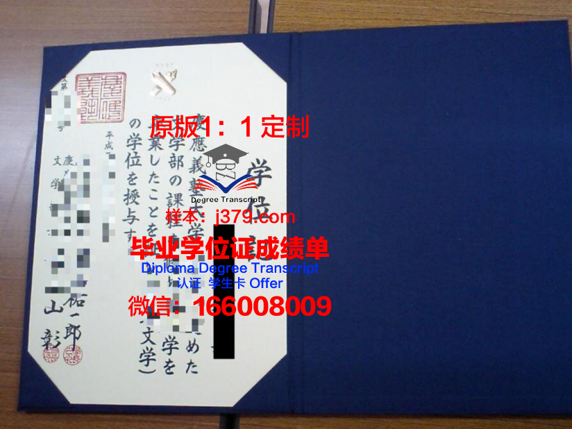 博士学位毕业证书:知识与智慧的象征