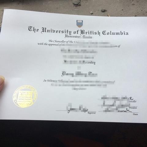 不列颠哥伦比亚理工学院研究生毕业证