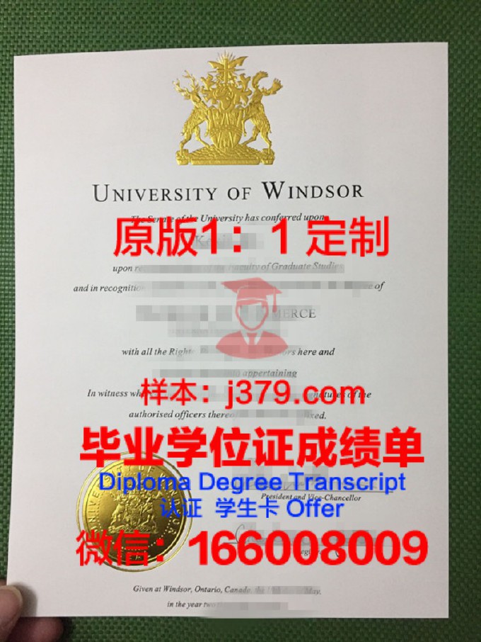 【加拿大学校】温莎大学毕业证样本