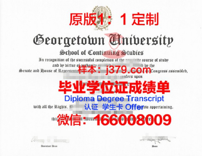 美国洲际大学博士毕业证书(美国博士毕业率)
