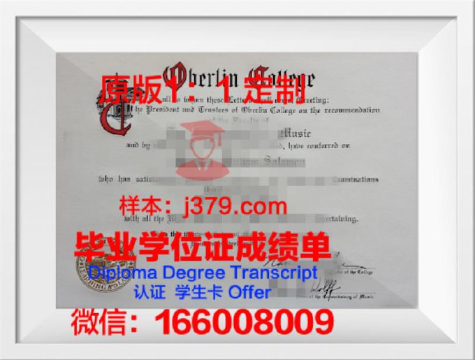 里尔高等新闻学院diploma证书(里尔综合理工学院)