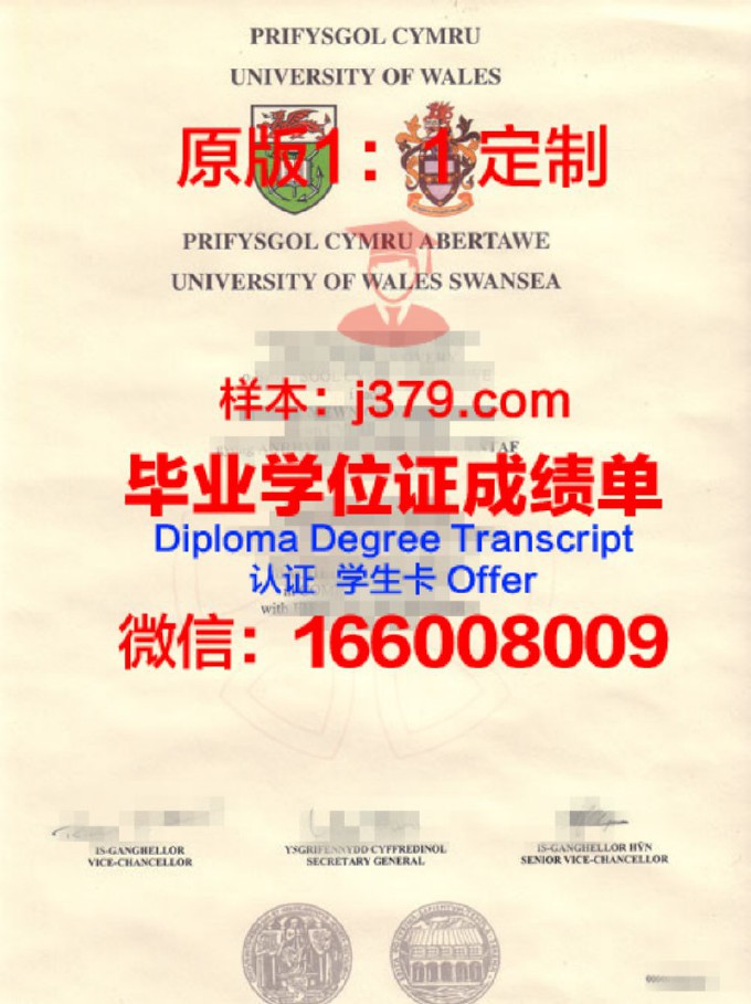 斯旺西大学diploma证书